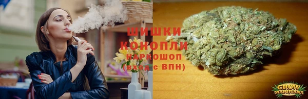 гидропоника Богданович