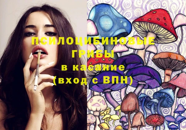 спиды Богородск