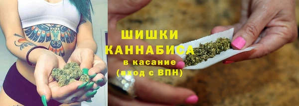 гидропоника Богданович