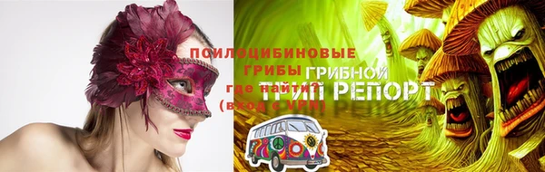 гидропоника Богданович