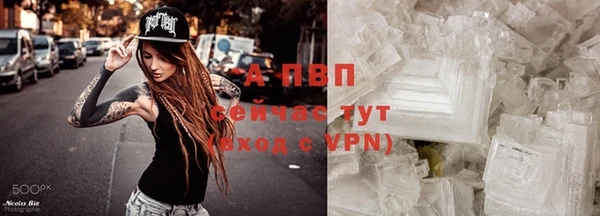 спиды Богородск